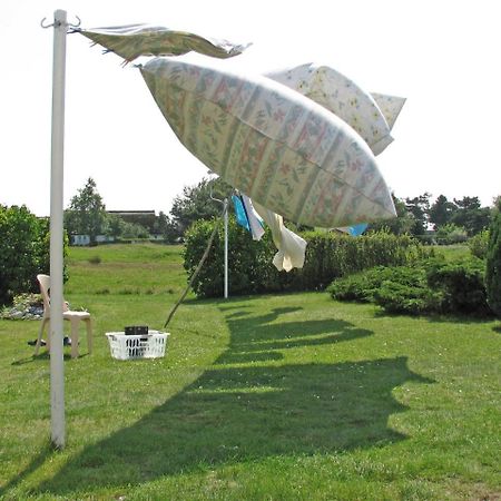 Ferien Auf Hiddensee _ Neuendorf Neuendorf  Екстер'єр фото
